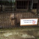 「アミの中に手をいれないでね！するどい歯をもってるよ」